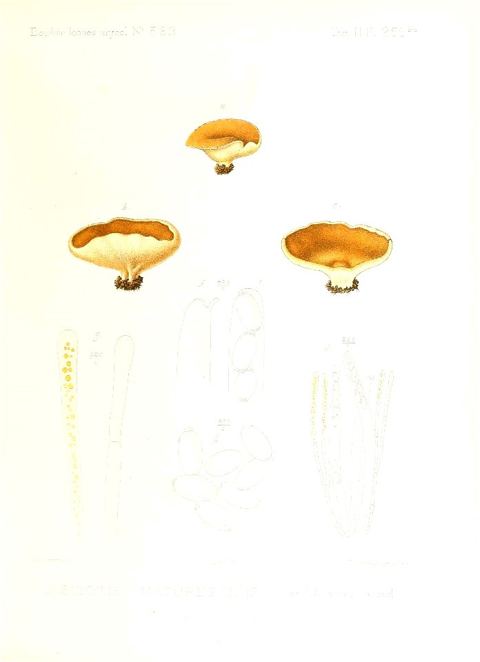 n144_w1150