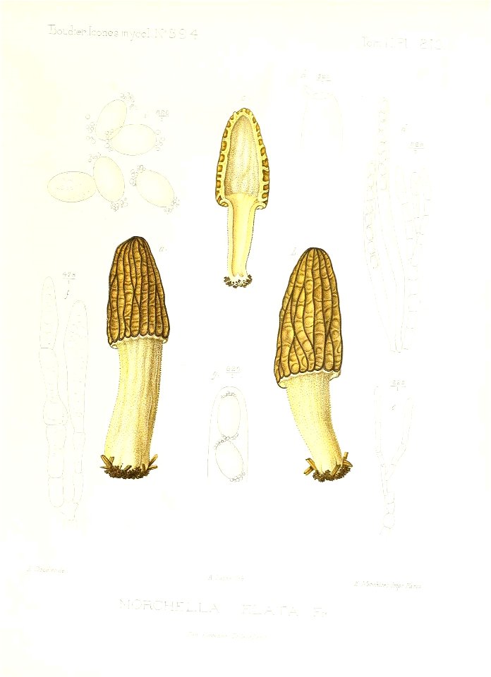 n54_w1150