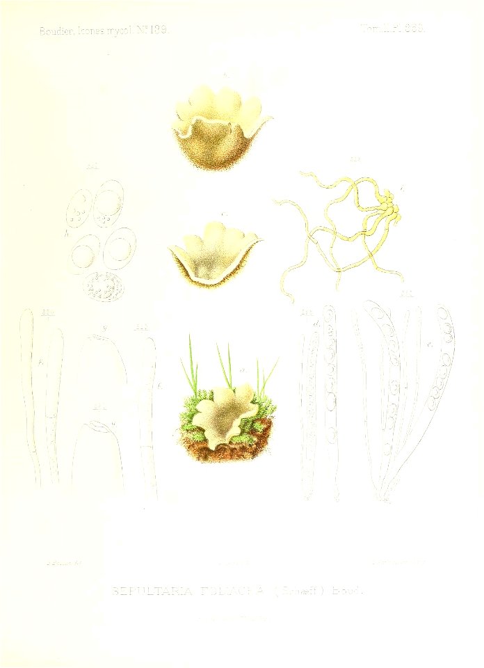 n352_w1150