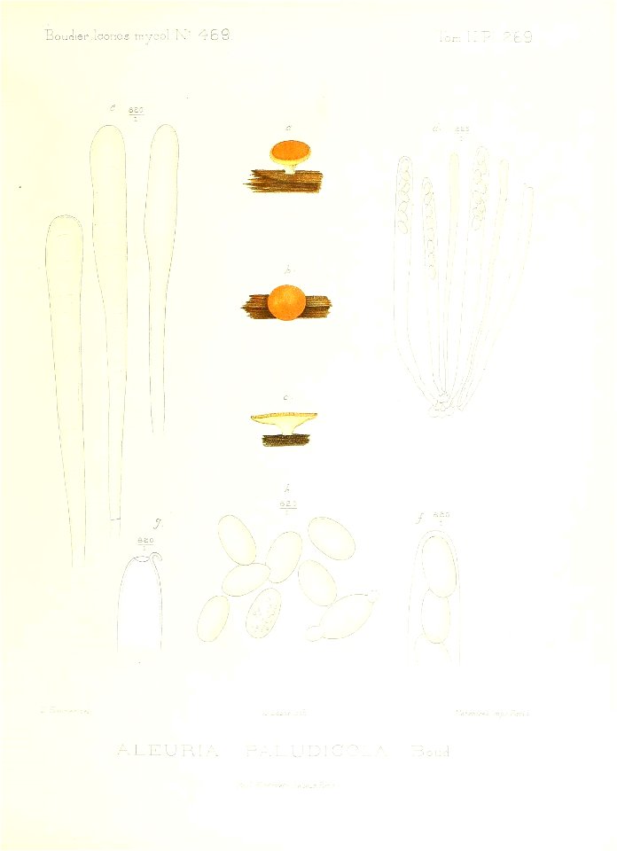 n172_w1150