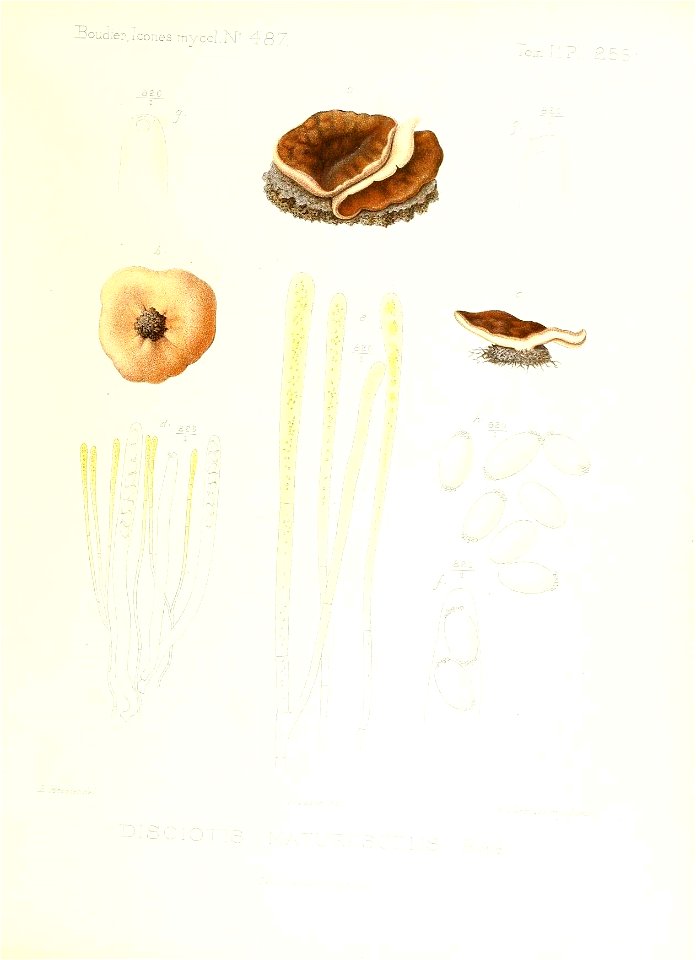 n142_w1150