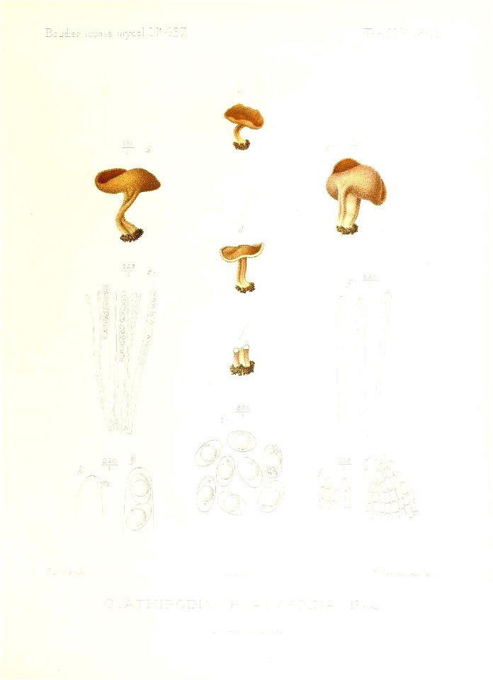 n112_w1150