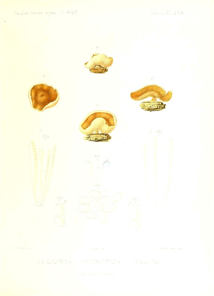 n170_w1150