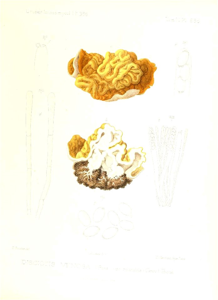 n140_w1150