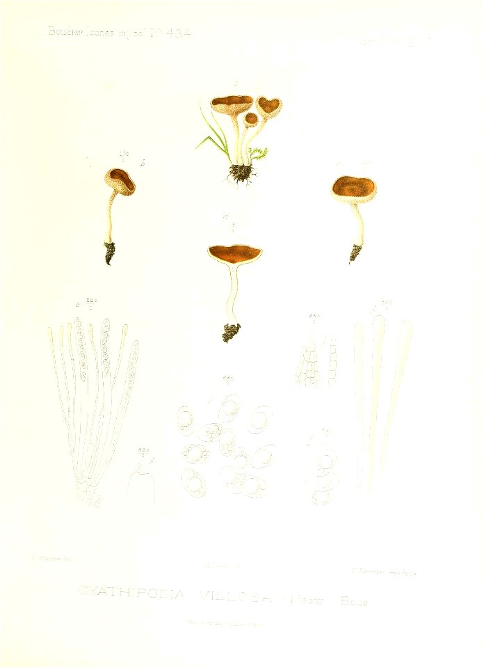 n110_w1150