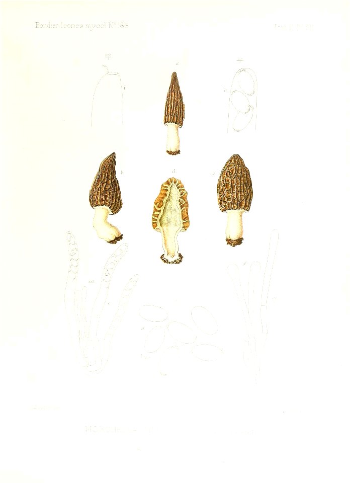 n50_w1150