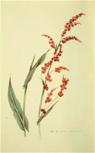 n583_w1150
