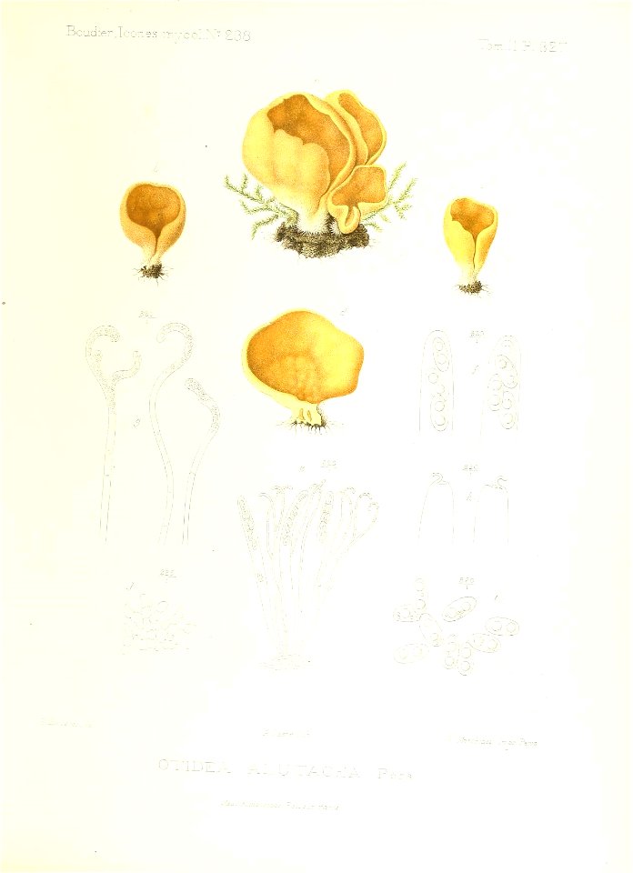 n288_w1150
