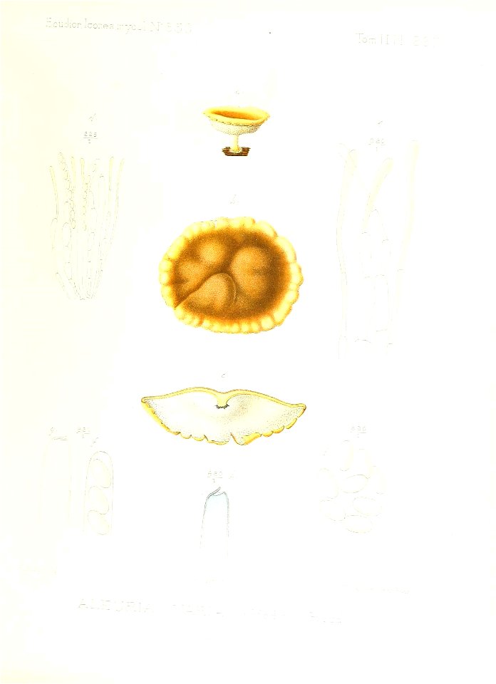 n168_w1150