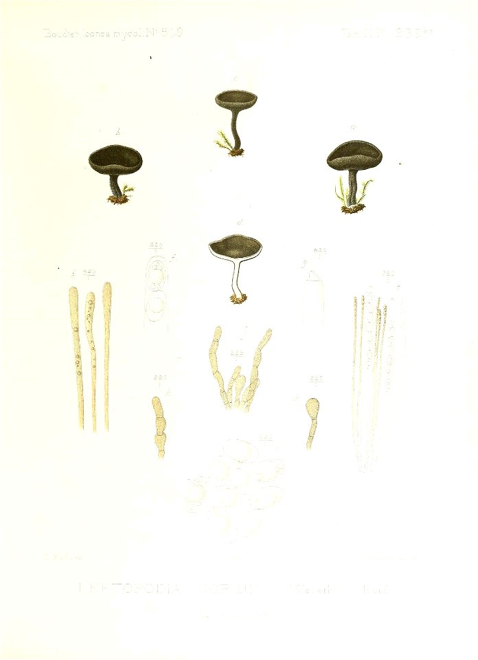 n108_w1150