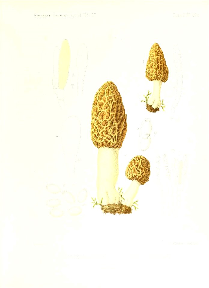 n18_w1150