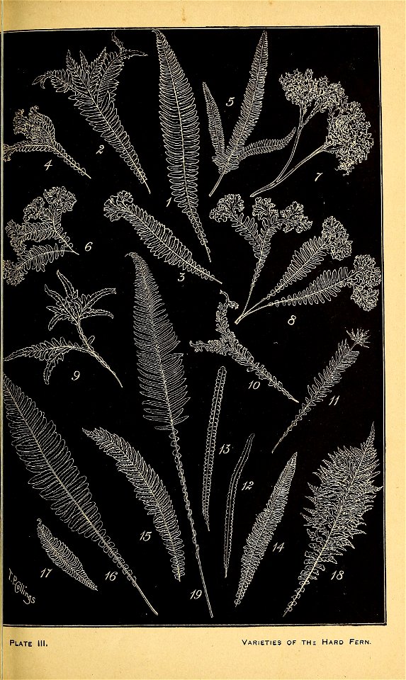 n106_w1150