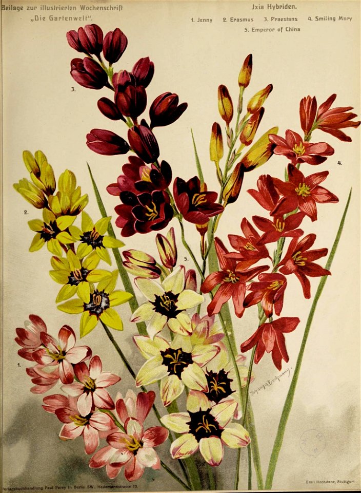 n692_w1150