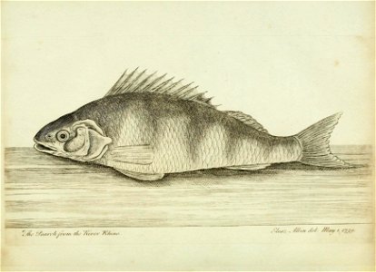 n49_w1150