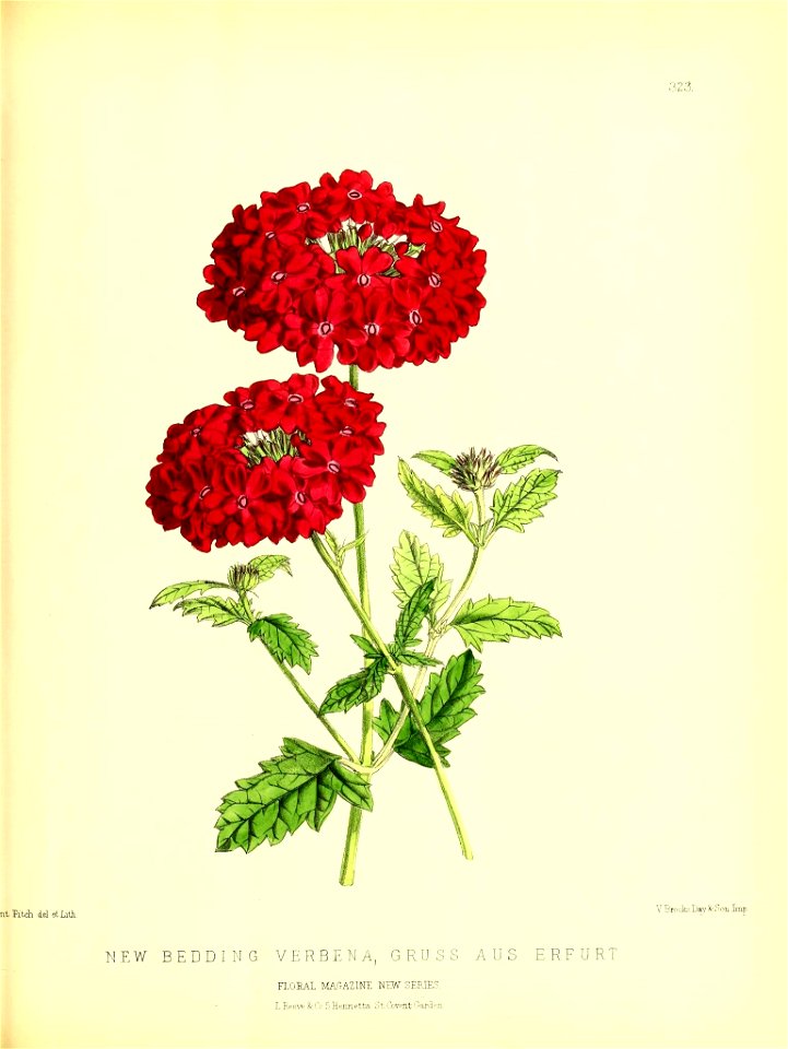 n124_w1150