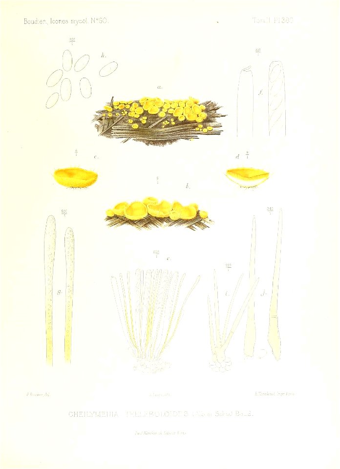 n394_w1150