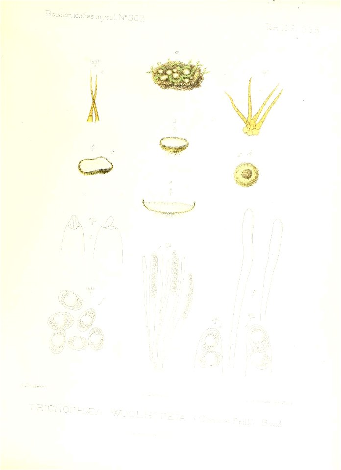 n364_w1150