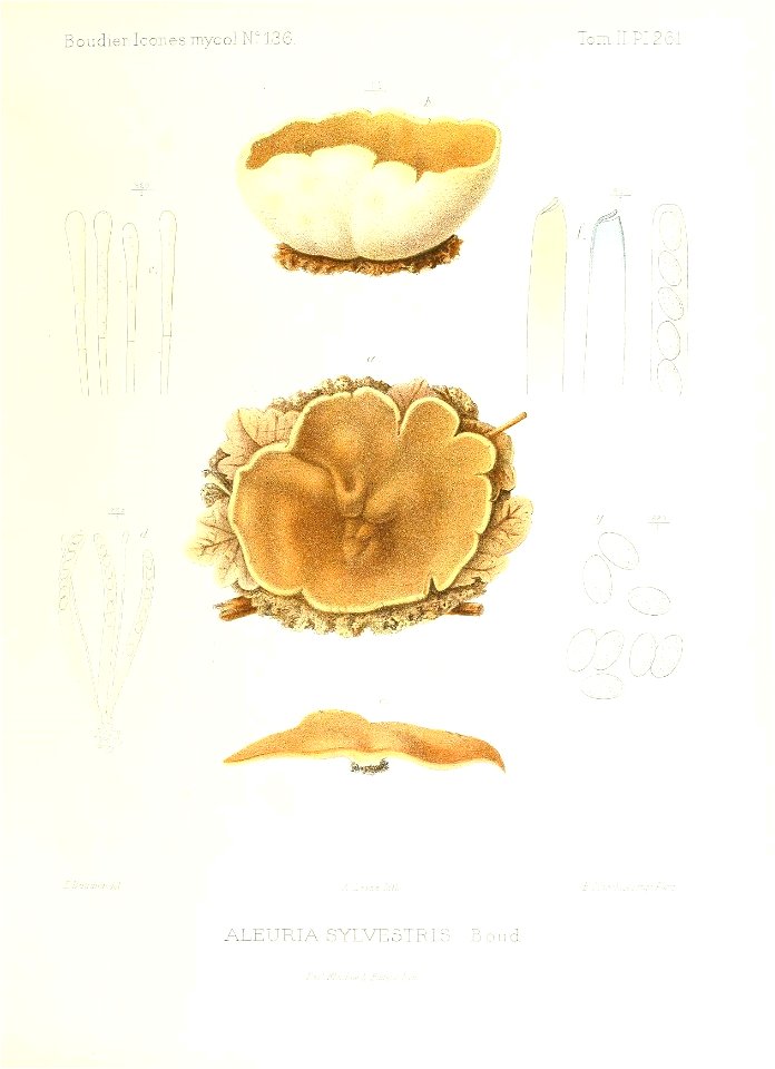 n154_w1150
