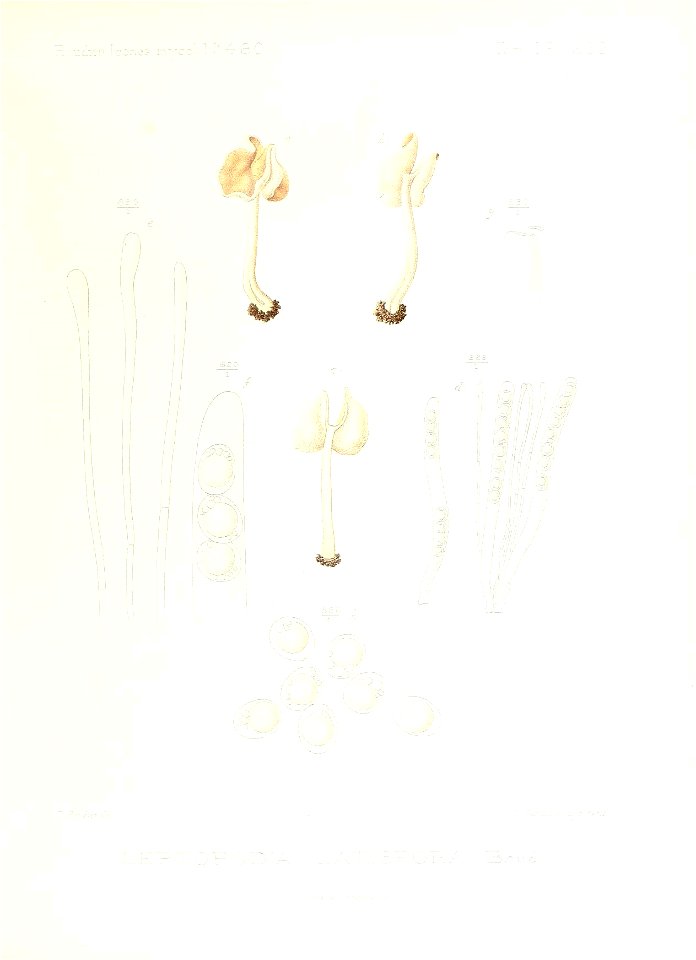 n94_w1150