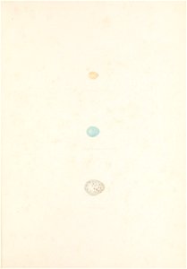 n206_w1150