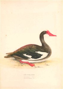 n158_w1150