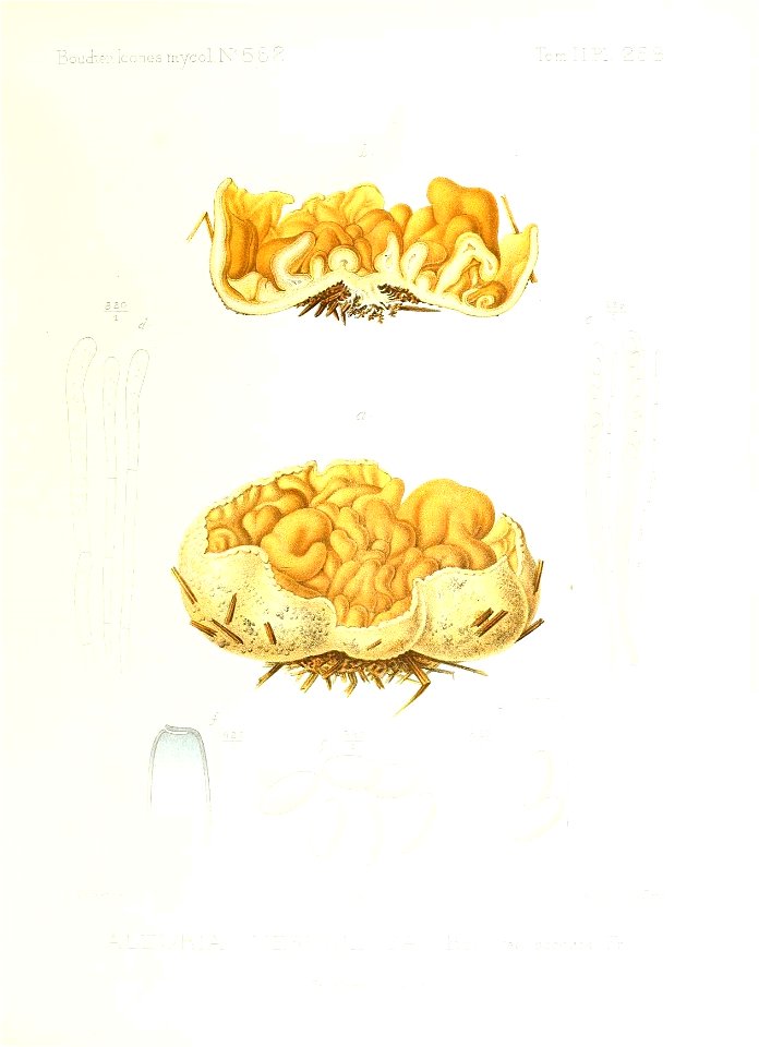 n148_w1150