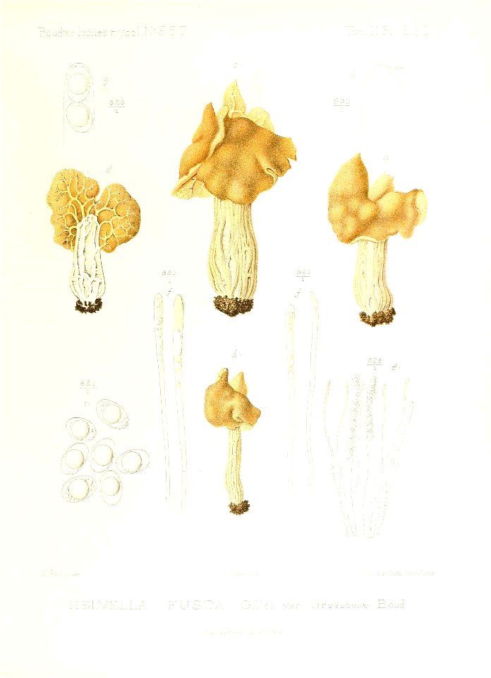 n88_w1150