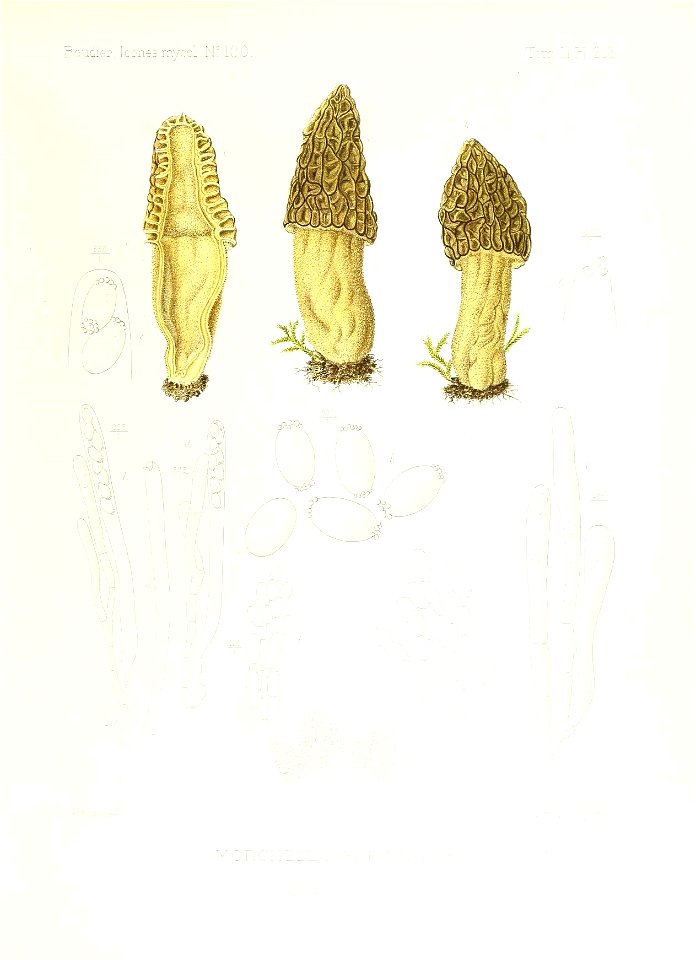 n58_w1150