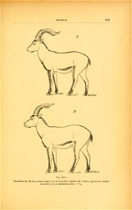 n374_w1150