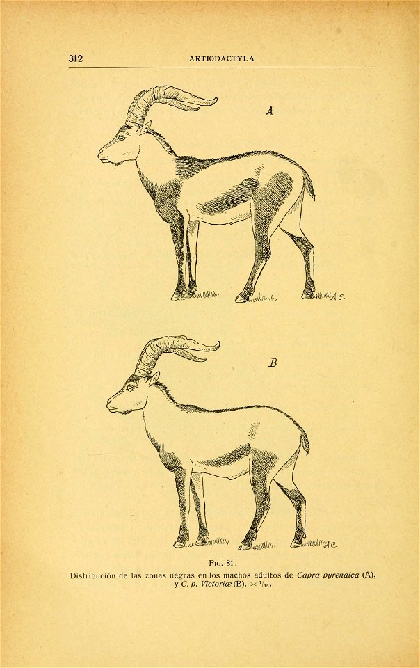 n373_w1150