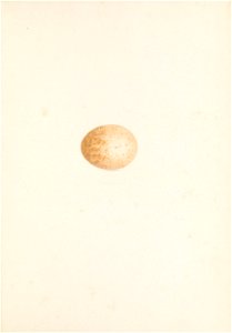 n200_w1150