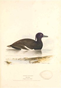n50_w1150