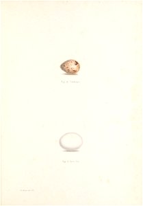 n198_w1150