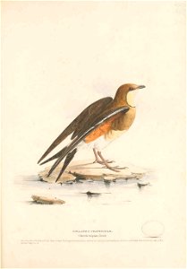 n120_w1150