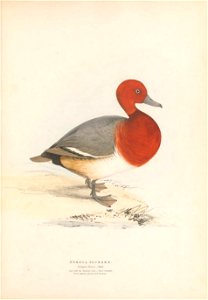 n46_w1150