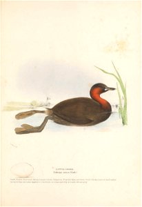 n76_w1150