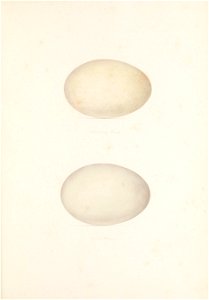 n194_w1150
