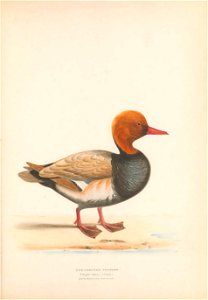 n44_w1150
