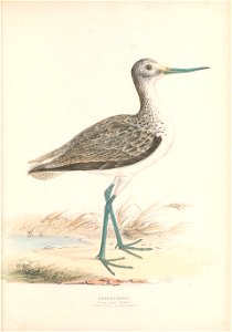 n56_w1150