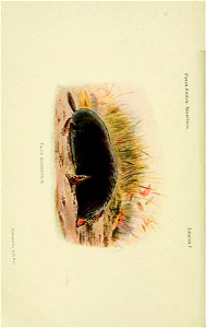n65_w1150