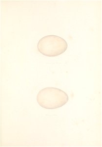 n192_w1150