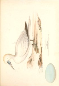 n102_w1150
