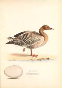 n144_w1150