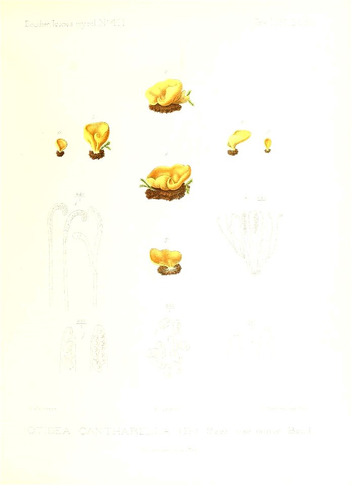 n286_w1150