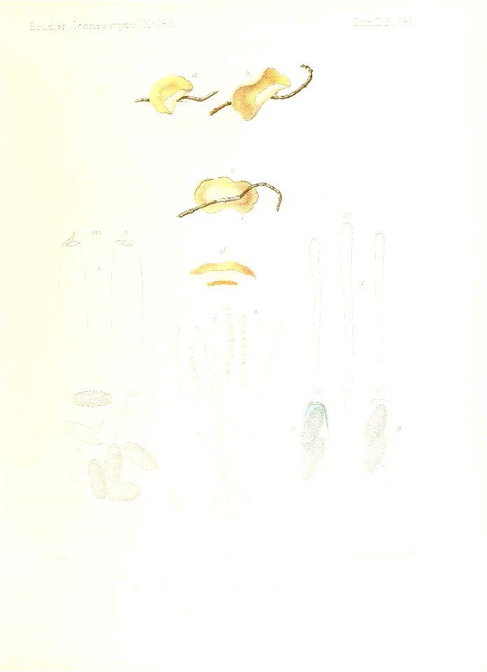 n196_w1150