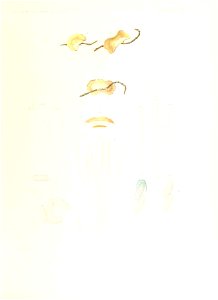 n196_w1150