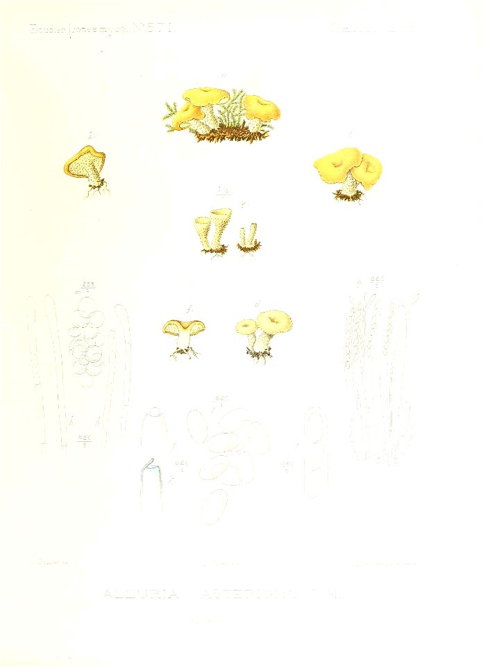 n166_w1150