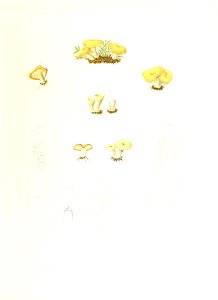 n166_w1150