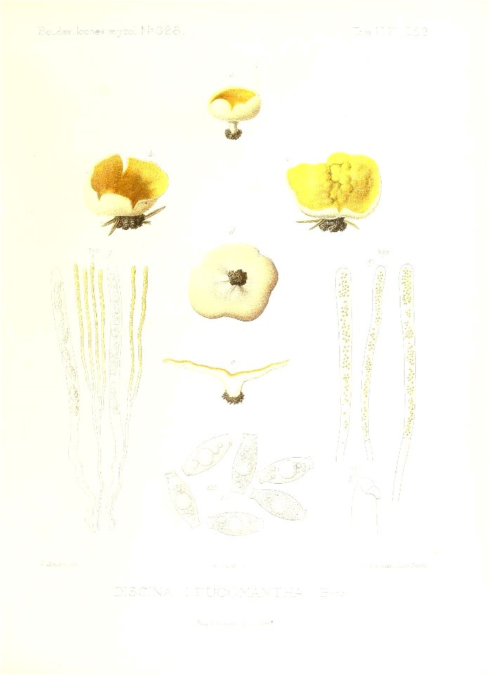 n136_w1150