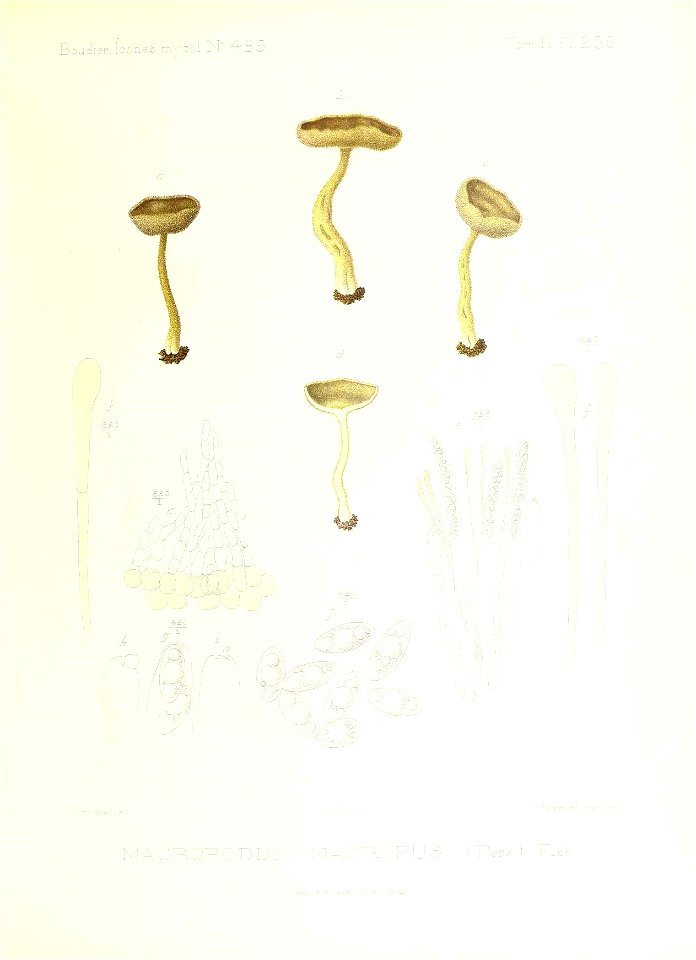 n106_w1150